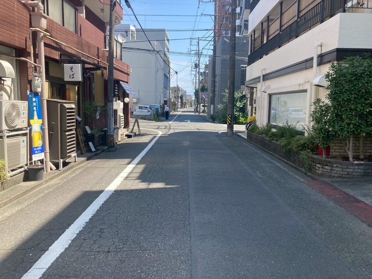 洗面道路は駅に近いですが
交通量が非常に多くもなく閑静な住宅地です。