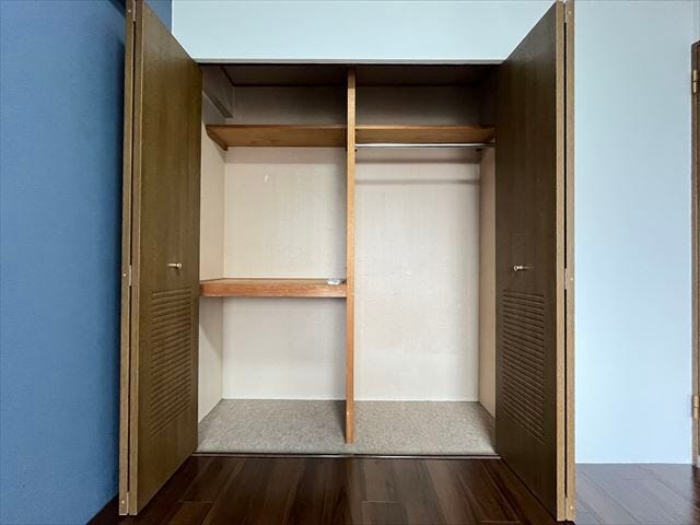 北側6.1帖洋室収納:仕切り板があるので物の仕分けがしやすく片付けもしやすいですね。(2025年9月18日 撮影)