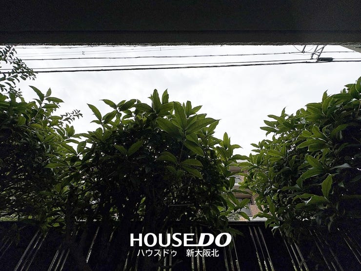 ■バルコニーからの眺望です!
■植栽があるのでプライバシーも守られつつ、自然の光が差し込む素敵なバルコニーです♪