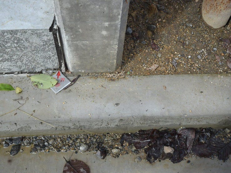 南面境界 2025.10.05