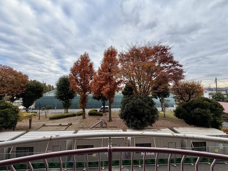 〈南東側バルコニー〉目の前は季節の移り変わりを感じられる緑溢れる公園♪
