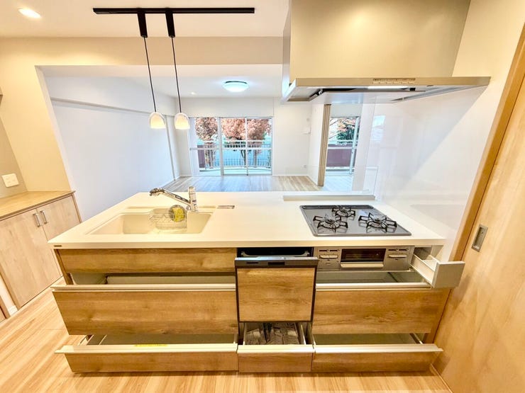 食器洗乾燥機付で忙しいママをサポート♪収納もたっぷりあるのできれいを保てます♪