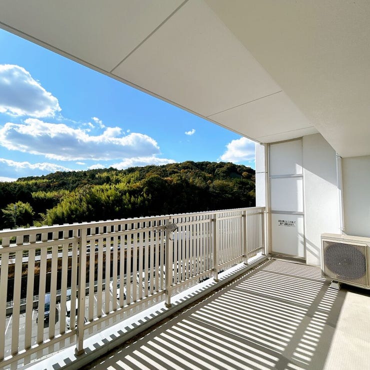 バルコニーからの景観。