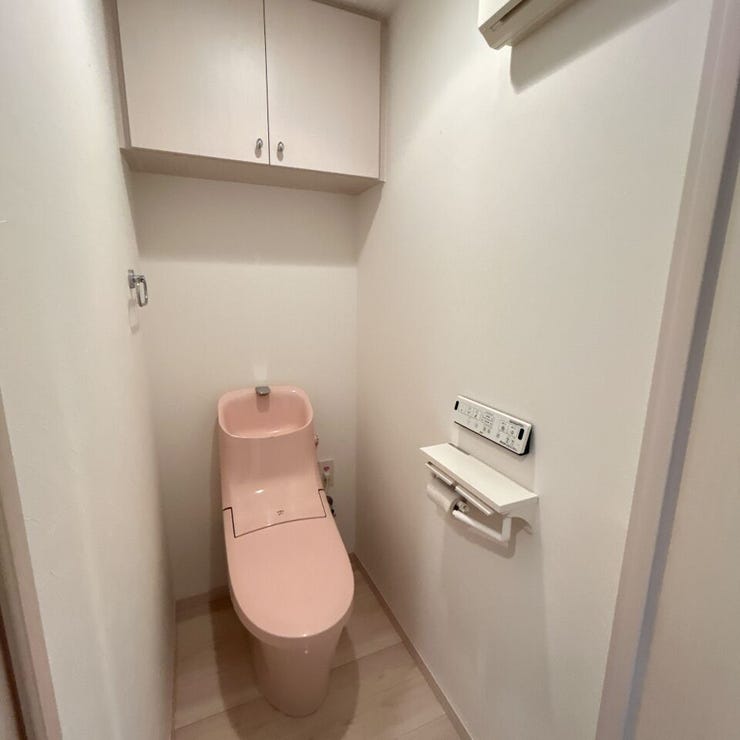 トイレはウォシュレットトイレ。掃除道具やサニタリーグッズを収納できる棚も完備。