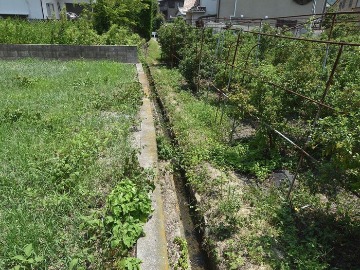 南側水路等