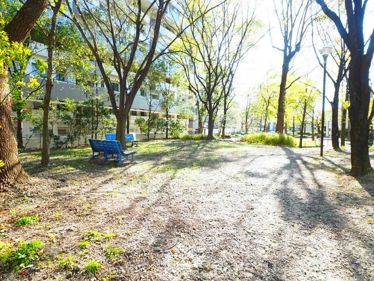 全棟共有の公園