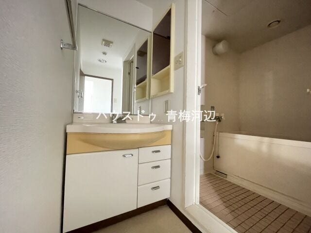 洗面所:洗面台横には棚が付いていますので歯ブラシなども収納できます。