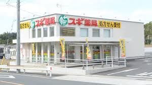 スギ薬局加木屋店まで885m 徒歩12分