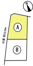 概観画像