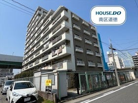 概観画像