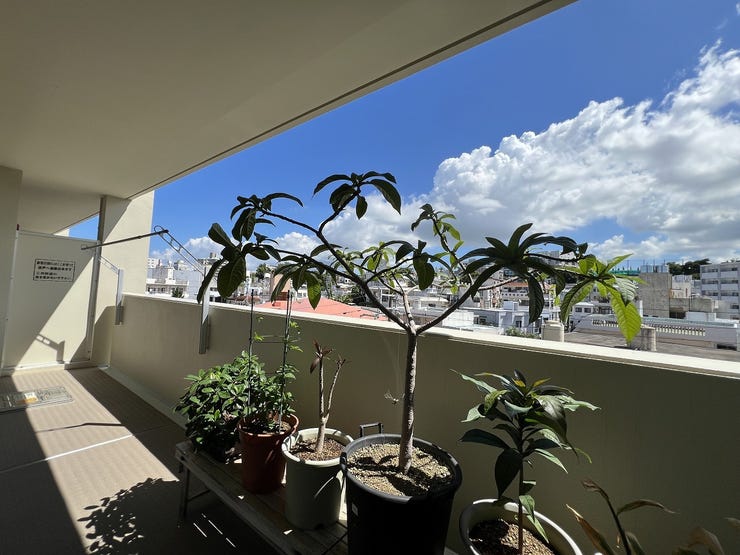 明るい陽射しがたっぷり差し込むバルコニー。ガーデニングにもおすすめです。