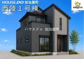 概観画像