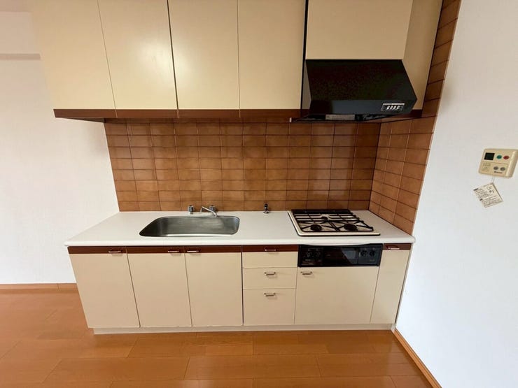 システムキッチンは調理に必要な道具を最小限の動きで取り出せるよう、使い勝手も工夫されており、収納力と収納のしやすさを同時に備えています!