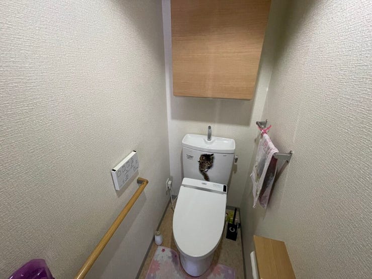 ※空室をイメージしCG加工したものです。
画像は実際の室内写真と間取り図から再現した「室内イメージ」で実際とは多少異なります。