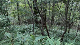 岡崎市切山町字下一色平