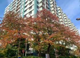 江東区北砂４丁目