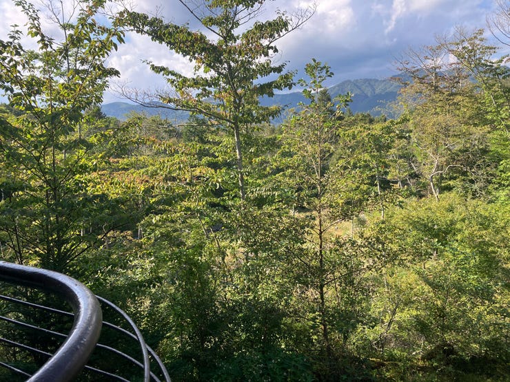 外廊下からの眺望