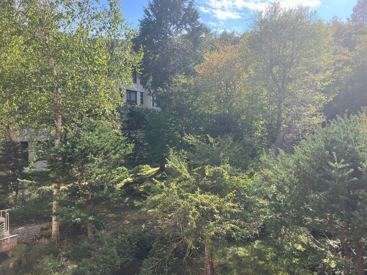 リビング窓からの眺望