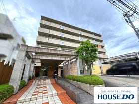 八幡市男山美桜