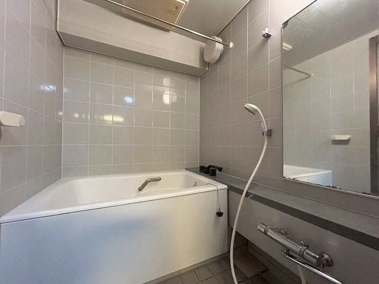 大きなバスタブ付きの浴室