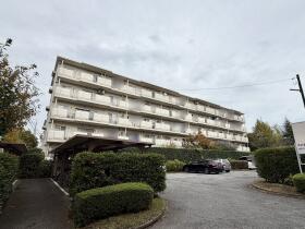 柏市松葉町５丁目