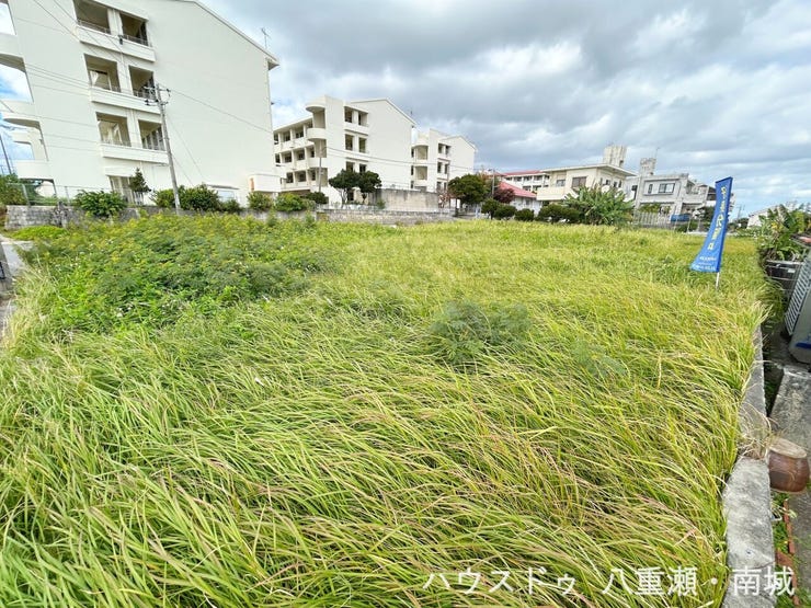 現地写真 2026年1月撮影