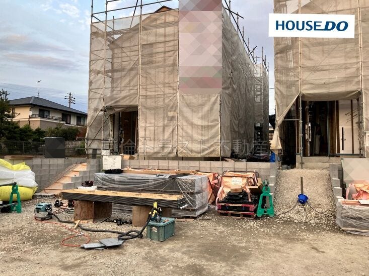 2025年11月17日撮影