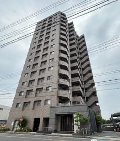 概観画像