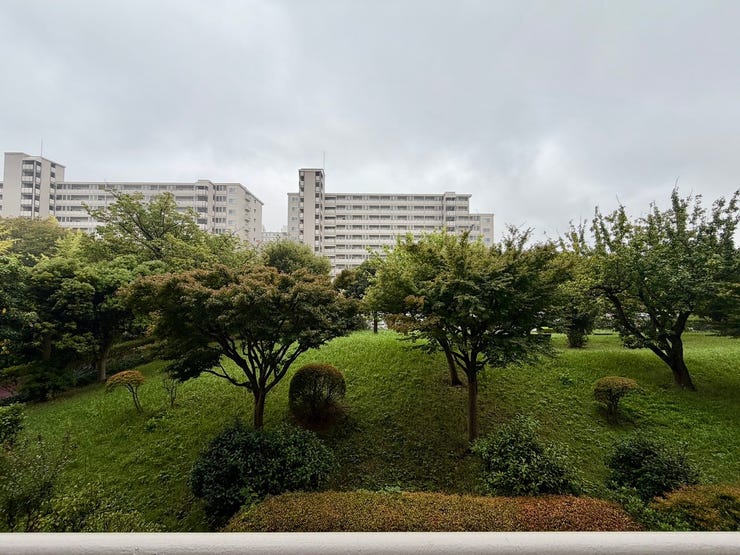 窓の向こうに広がる木々に心が癒されます♪