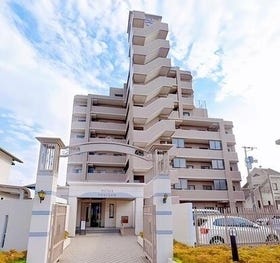 概観画像