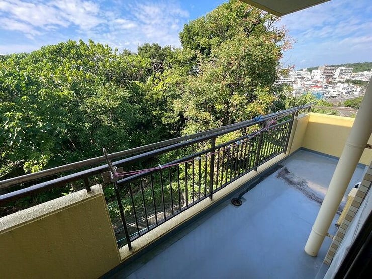 目の前が緑で自然いっぱいの眺めです