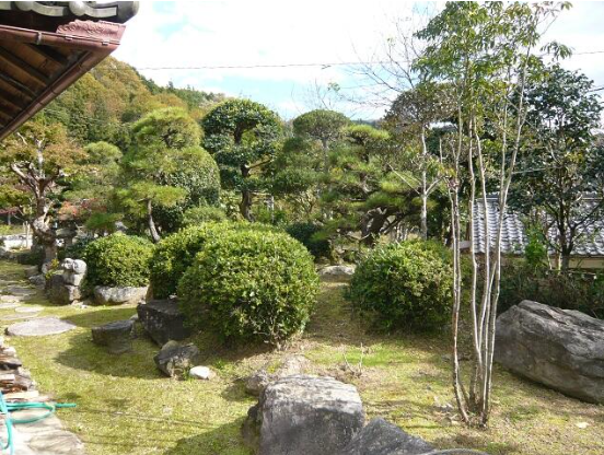四季の移ろいを感じられる、庭付きの古民家。
窓の外に広がる緑と空が、日々の暮らしにやさしい彩りを添えます。