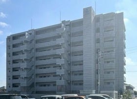 概観画像