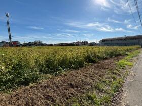 結城市大字結城