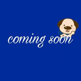 東大阪市友井３丁目