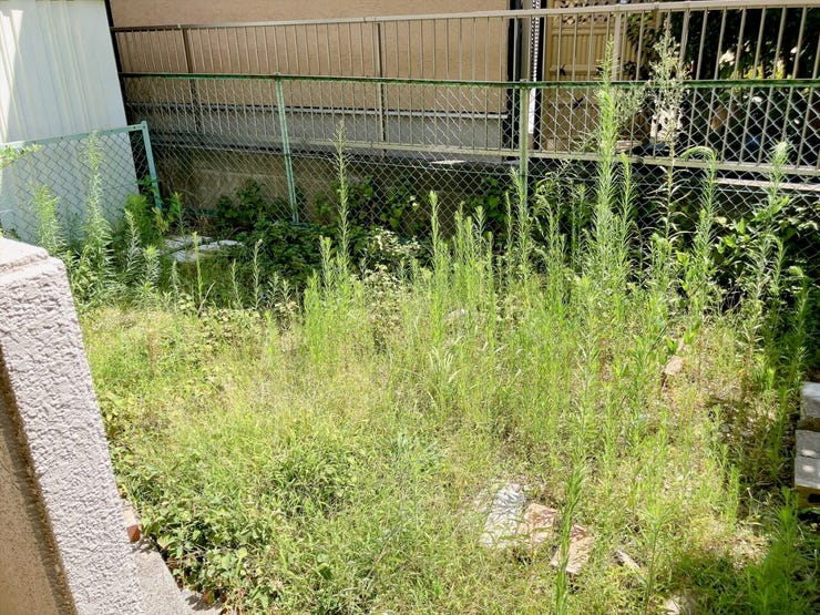 【庭】
陽当たりの良い南向きのお庭は、子どもの簡易プールやペットの砂場など置いて家族で楽しめるスペースに♪
さらに小さなベンチを置けば、朝のコーヒーや読書も楽しめる心地よい空間になります!