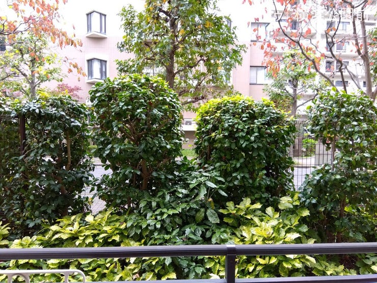バルコニーから見た外の景色です。1階のお部屋ですが、植え込みがたくさん植わっており、外からは目隠しとなって外からの人目が気にならなくなっています。