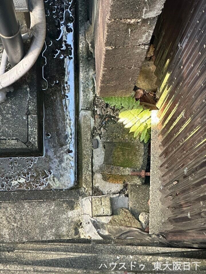 その他:隣地境界部分(東側)です♪