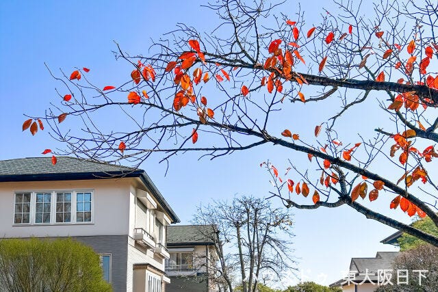 その他:いつでもご内覧可能ですので、お気軽にお問い合わせくださいませ!