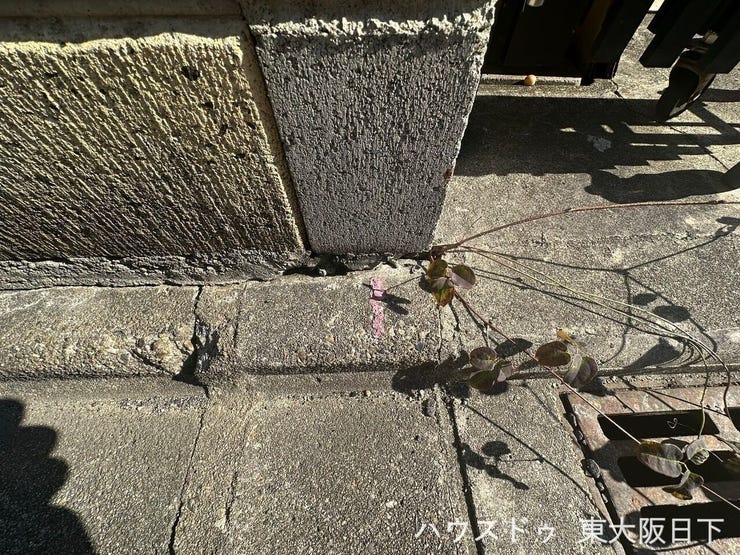 前面道路:境界線付近(南西側)になります♪