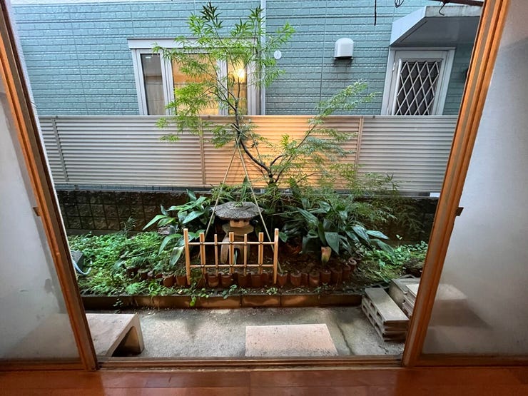 1F リビング(応接間)から見える西坪庭
*涼しげなもみじ!紅葉のシーズンが楽しみです♪