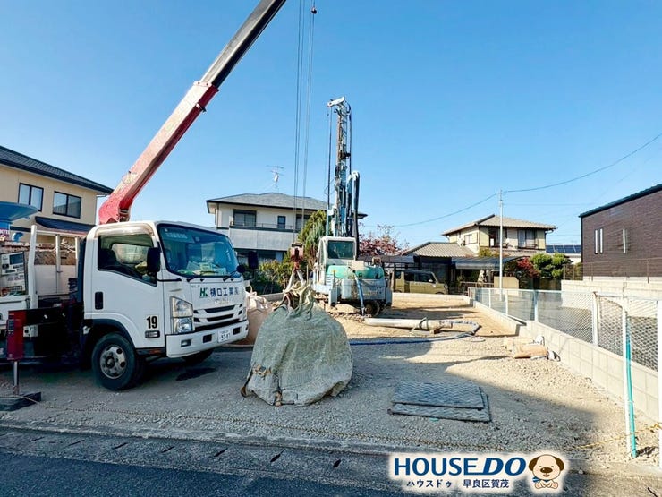 2025年11月上旬撮影