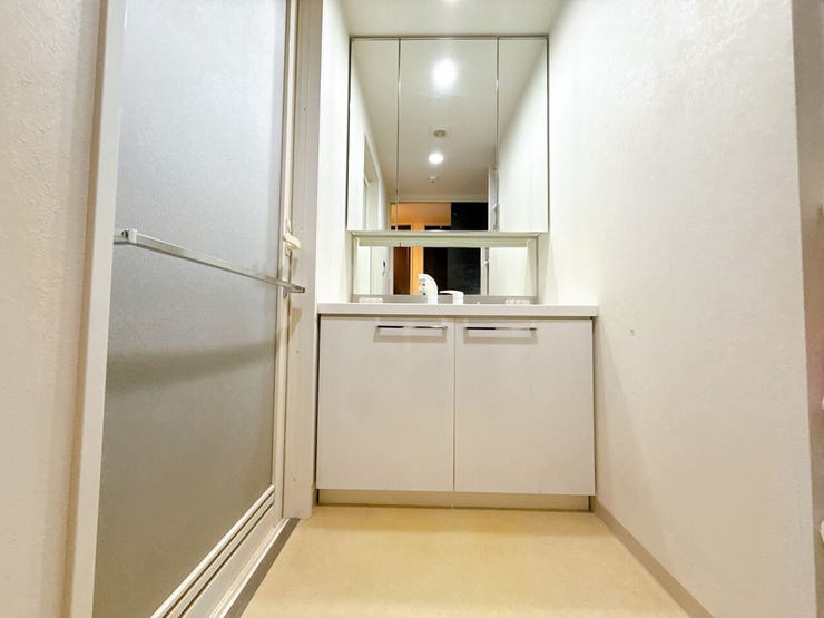 シャンプードレッサー付き洗面台が付いております◎