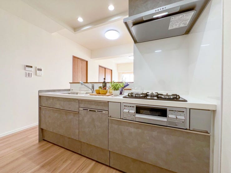 システムキッチン採用のカウンターキッチン♪食器洗浄乾燥機付きで家事ラク!背面には便利な食器棚もあり、使い勝手がとてもいいです。