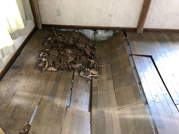 1階西側建物内 洋室11畳 床のリフォームが必要になります