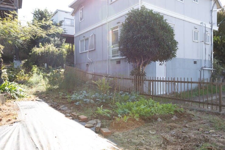 家庭菜園が可能なスペースがあります。