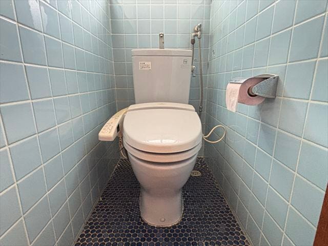 (2025年10月10日 撮影)