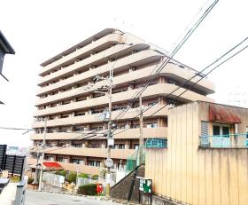 柏原市平野２丁目