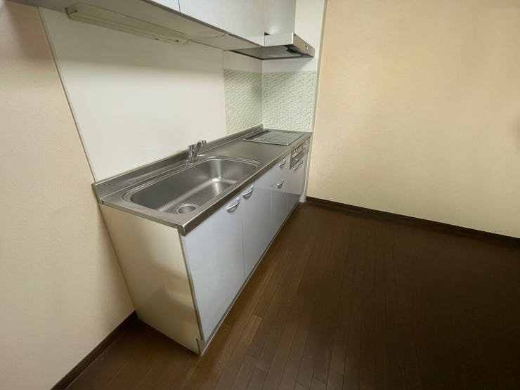 現地(2025年11月)撮影