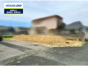 概観画像